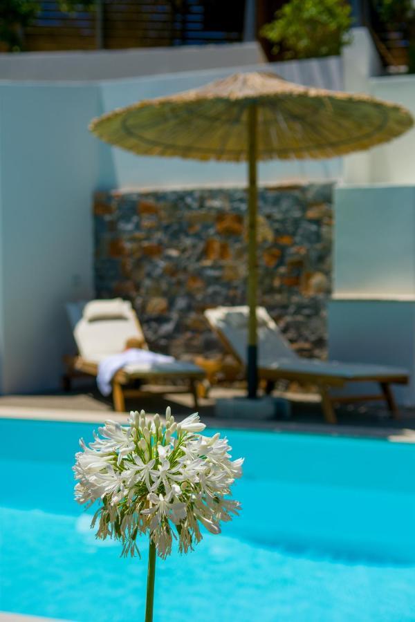 Pakio Luxury Villa : Private Cretan Holidays Milatos Exterior photo